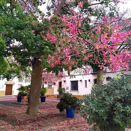 Appartamento 2 Bed Apt Estepona